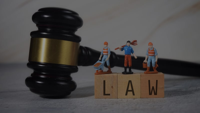 Employment-and-Labour-relations-DC-Law-Advocates-llp